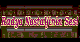 Radyo Nostaljinin Sesi
