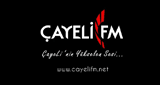 &Ccedil;ayeli FM